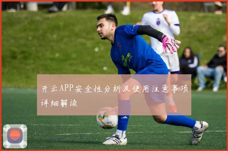 开云APP安全性分析及使用注意事项详细解读