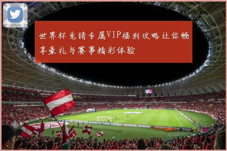 世界杯竞猜专属VIP福利攻略让你畅享豪礼与赛事精彩体验