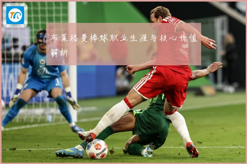布莱格曼棒球职业生涯与核心价值解析