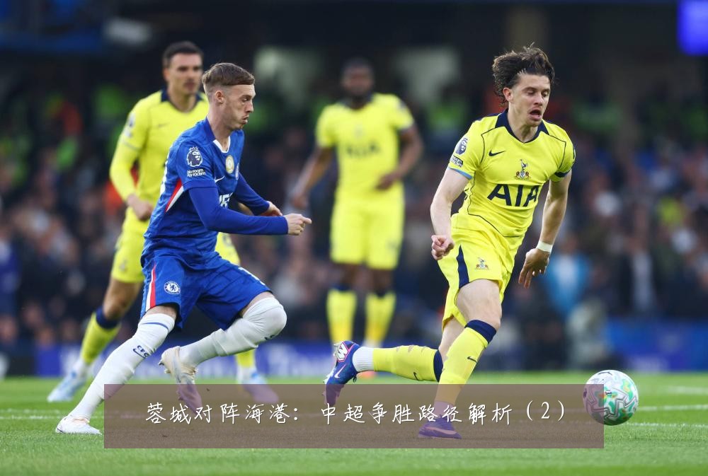 蓉城对阵海港：中超争胜路径解析（2）
