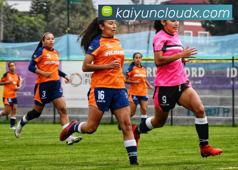 开云平台展示图